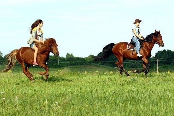 Конная прогулка на Алтае