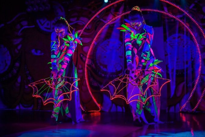Шоу Tandava