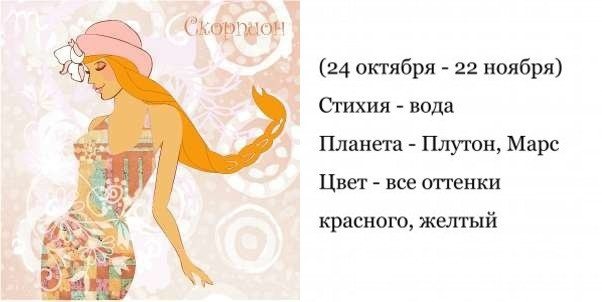 Скорпион - гороскоп совместимости и характеристика знака зодиака. Мужчина Скорпион. Женщина Скорпион