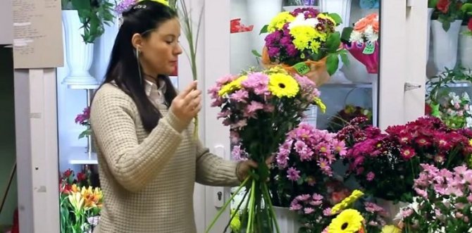 Стебли беграсса к букету