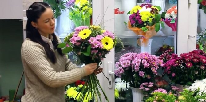 Ветки салала